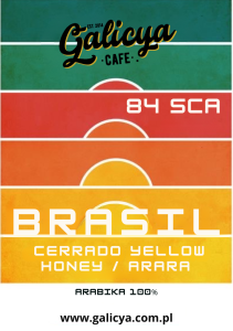 Brazylia Cerrado OF MINAS CROP  84SCA - kawa ziarnista 250g